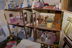 DSC00881.jpg (1,000kb)