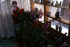 DSC00886.jpg (923kb)