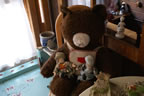 DSC00890.jpg (917kb)